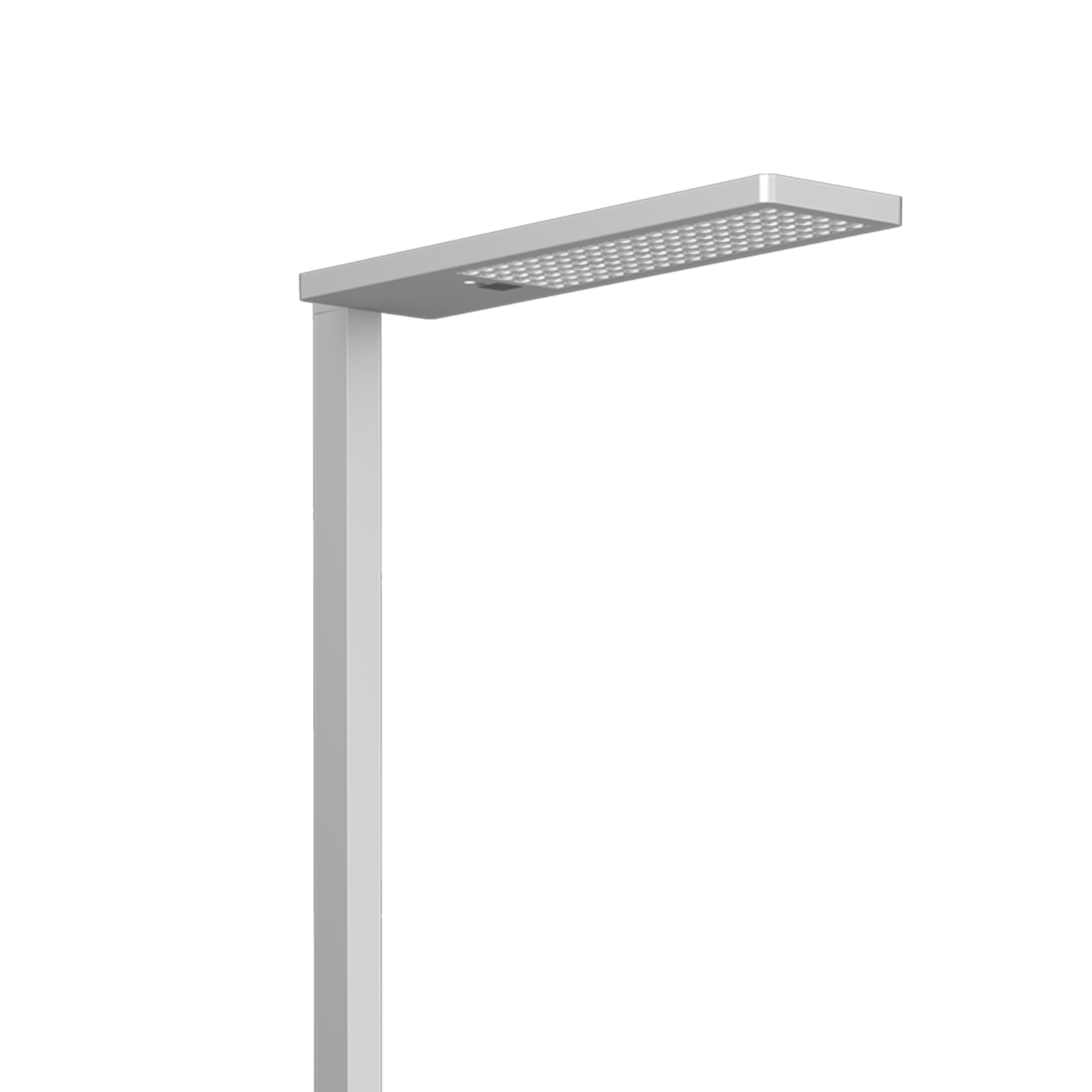 VEGA Ansicht 1